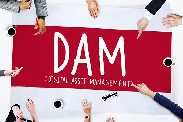 Successful Implementation of Digital Asset Management (DAM)