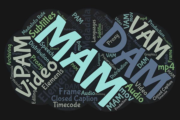 Managing Video Assets in DAM and MAM