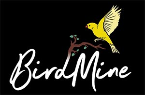 BirdMine logo Allison Norlian JMS’11