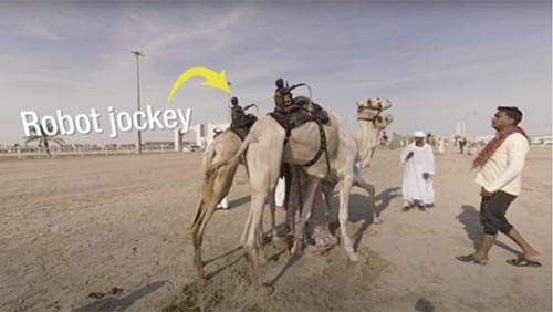 EM used in camel racing used by Qatar to promote the FIFA World Cup in 2022.
