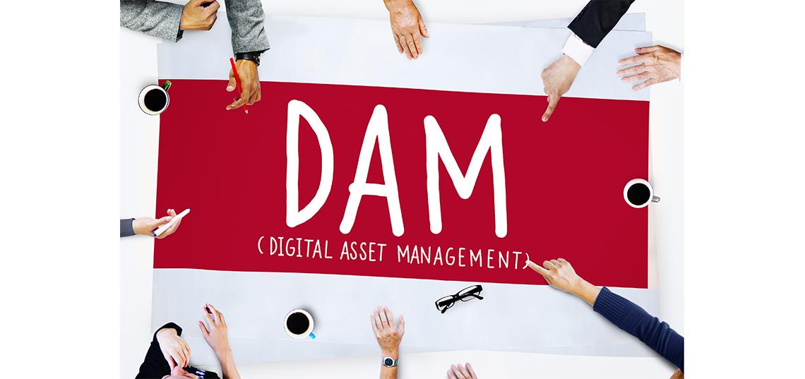 Launching in Fall, 2019: New Certificate Program: Digital Asset Management (DAM)