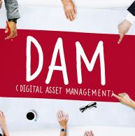 Launching in Fall, 2019: New Certificate Program: Digital Asset Management (DAM)